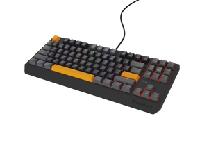 Tastatura gaming mecanica cu fir Genesis Thor 230 TKL, iluminare RGB, switch Linear, switch model Outemu Red, numar taste 87, 11 butoane multimedia, lungime cablu 1.6m, dimensiuni 363 x 155 x 39 mm, gri