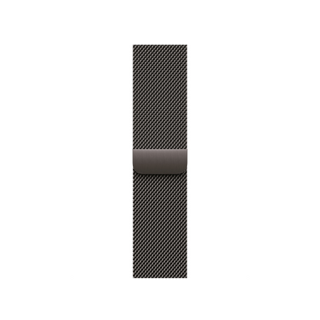 42mm Slate Milanese Loop