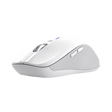 Mouse wireless Trust Ferro Hyperscroll, material ABS, interfata USB-A rezolutie maxima 3200 dpi, alb
