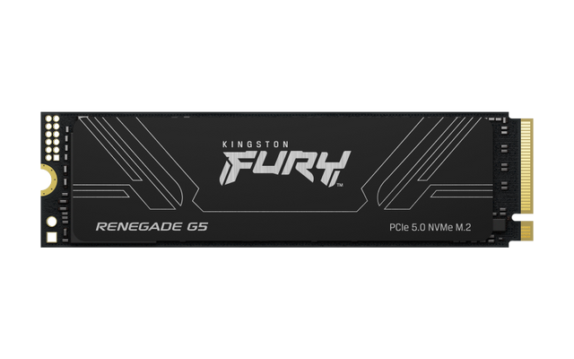 SSD Kingston 1T FURY RENEGADE G5 M.2 2280 NVMe SSD