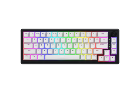 Tastatura wireless Hator Skyfall 60, interfata 2.4GHz, BT5.3, USB, polling rate 1000Hz, capacitate baterie 2000mAh, switch HATOR Aurum Sterling linear, material tasta OMA, buton de control multimedia, sistem de anulare a zgomotului integrat, alb-negru