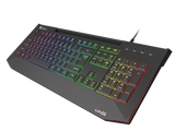 Tastatura gaming cu fir Genesis LITH 400, iluminare RGB, mecanism taste X-Scissors, numar taste 104, lungime cablu 1.8m, dimensiuni 465 x 25 x 195 mm, negru
