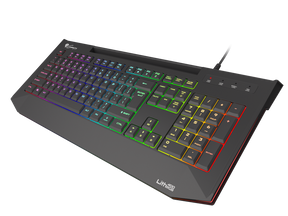 Tastatura gaming cu fir Genesis LITH 400, iluminare RGB, mecanism taste X-Scissors, numar taste 104, lungime cablu 1.8m, dimensiuni 465 x 25 x 195 mm, negru