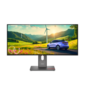 Monitor Consumer Lenovo ThinkVision P34WD-40, 34", 3440 x 1440 pixeli, Black, 2 ani Garantie