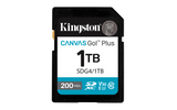 Card de Memorie SD Kingston Canvas GO Plus CL 10