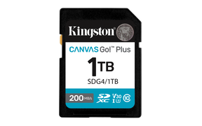 Card de Memorie SD Kingston Canvas GO Plus CL 10