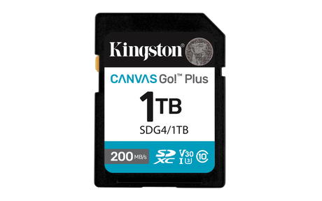 Card de Memorie SD Kingston Canvas GO Plus CL 10