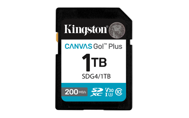 Card de Memorie SD Kingston Canvas GO Plus CL 10