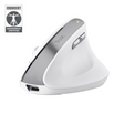 Mouse Wireless TRUST Bayo II, 2400 DPI, Alb