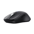 Mouse wireless Trust Ferro Hyperscroll, material ABS, interfata USB-A, rezolutie maxima 3200 DPI, negru