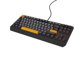 Tastatura gaming mecanica cu fir Genesis Thor 230 TKL, iluminare RGB, switch Linear, switch model Outemu Red, numar taste 87, 11 butoane multimedia, lungime cablu 1.6m, dimensiuni 363 x 155 x 39 mm, gri