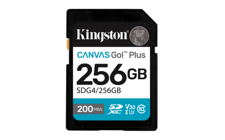 Card de Memorie SD Kingston 256GB Canvas GO PLUS CL10