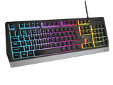 Tastatura Gaming GENESIS Rhod 300 RGB, RGB, USB, Negru