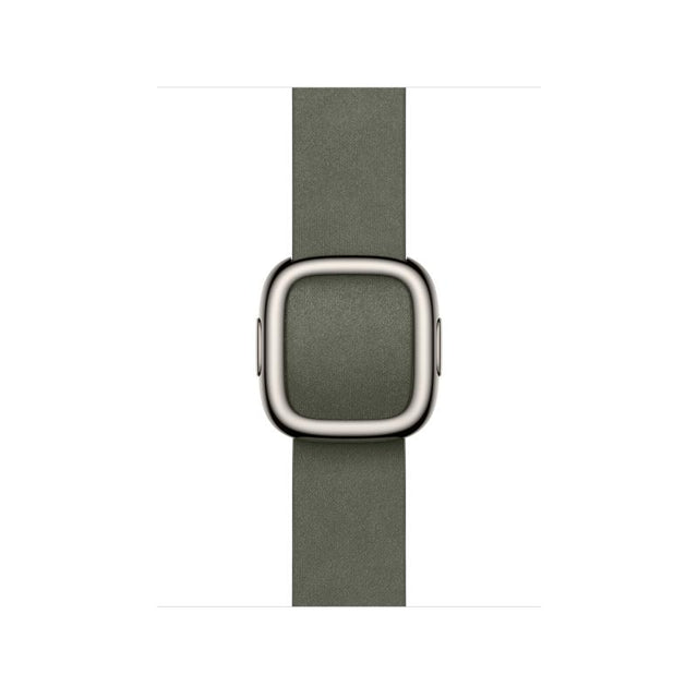 42mm Sage Gray Modern Buckle - Large