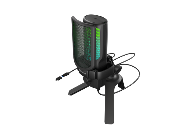 Microfon Genesis Radium 250, tip Condenser, model cardioid, suport fix, conectivitate USB-C, raspuns in frecventa 50 - 16.000 Hz, sensibilitate 40 dB, lungime cablu 200 cm, negru