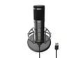 Microfon Genesis Radium 600 G2, tip Condenser, model cardioid, suport fix, conectivitate USB-C si Jack 3.5 mm,  raspuns in frecventa 30 - 18.000 Hz, sensibilitate -36 dB, lungime cablu 180 cm, negru