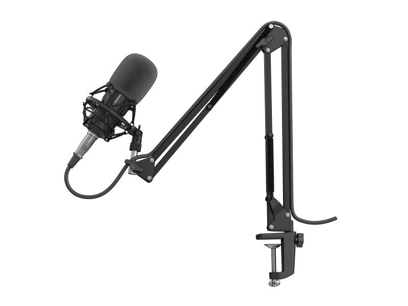 Microfon Genesis Radium 300 STUDIO XLR, tip electret condenser, model cardioid, suport fix, conectivitate Mini Jack 3.5 mm, XLR, , raspuns in frecventa 630 - 16000 Hz, sensibilitate -38 dB, lungime cablu 250 cm, negru