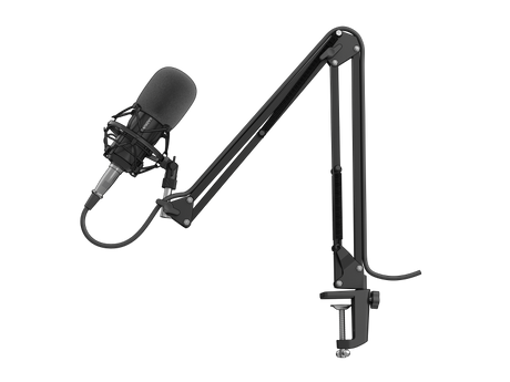 Microfon Genesis Radium 300 STUDIO XLR, tip electret condenser, model cardioid, suport fix, conectivitate Mini Jack 3.5 mm, XLR, , raspuns in frecventa 630 - 16000 Hz, sensibilitate -38 dB, lungime cablu 250 cm, negru
