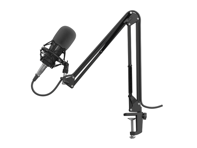 Microfon Genesis Radium 300 STUDIO XLR, tip electret condenser, model cardioid, suport fix, conectivitate Mini Jack 3.5 mm, XLR, , raspuns in frecventa 630 - 16000 Hz, sensibilitate -38 dB, lungime cablu 250 cm, negru