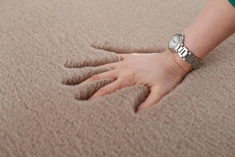 Covor Heinner Shaggy soft blanita  Maro 160x230 cm