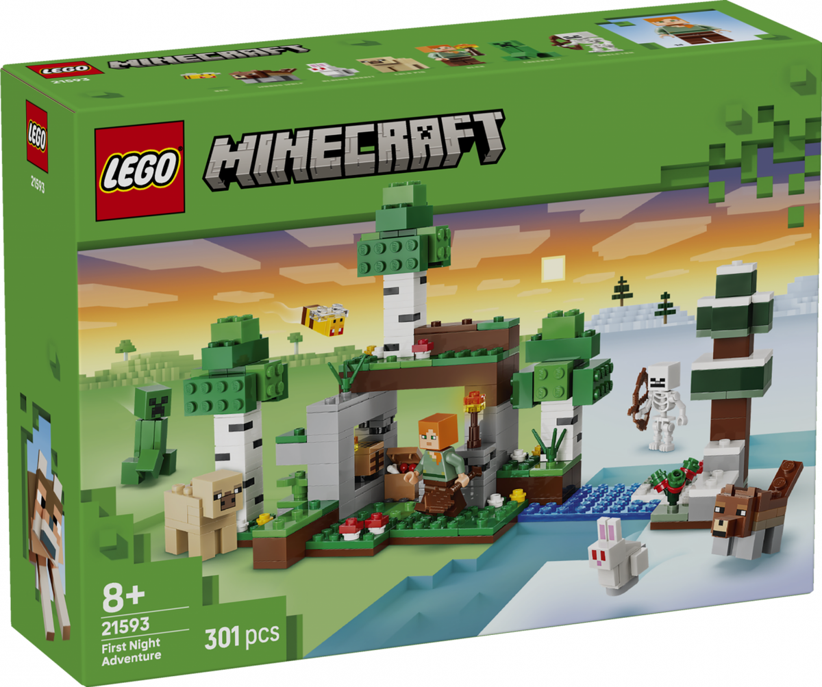 PRIMA AVENTURA PE TIMP DE NOAPTE LEGO21593