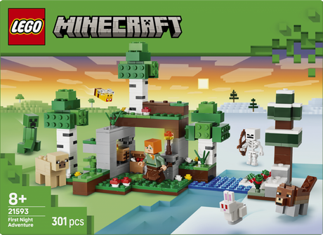 PRIMA AVENTURA PE TIMP DE NOAPTE LEGO21593