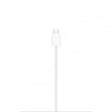 MagSafe Charger (1 m)