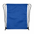 RUCSAC UNI CU SNUR 420D