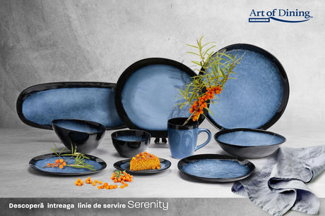 SET 4  FARFURII OVALE CERAMICA 21 CM, SERENITY, ART OF DINING BY HEINNER