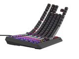 Tastatura gaming mecanica cu fir Genesis Thor 230 TKL, iluminare RGB, switch Linear, switch model Outemu Brown, numar taste 87, 11 butoane multimedia, lungime cablu 1.6m, dimensiuni 363 x 155 x 39 mm, negru