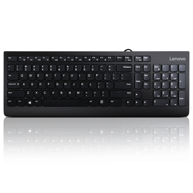 Lenovo 300 USB Keyboard - US English, Tip: Standard, Interfata tastatura: USB, Tehnologie: cu fir, Tastatura iluminata: Nu, Culoare: Negru, Dimensiune: 424 x 146 x 20 mm, Greutate: 76g, Garantie: 1 an