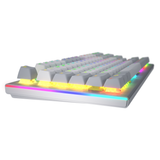 Tastatura Mecanica Gaming HATOR Gravity TKL, RGB, USB, Alb