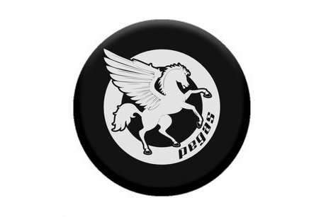 POPSOCKET