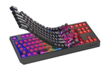 Tastatura gaming mecanica wireless Genesis Thor 230 TKL, iluminare RGB, swtich-uri Red, 87 taste, 11 butoane multimedia, negru