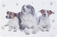 Napron, mix modele animale 43.5x28.5x0.4 mm