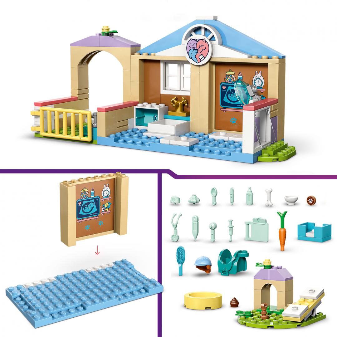 CLINICA VETERINARA LEGO42696