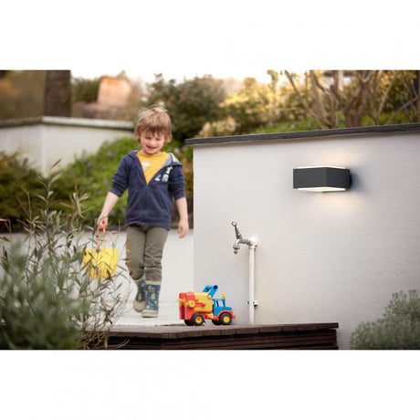 Aplica pentru exterior Philips Hedgehog, 1xE27, max 42W, IP44 ,182x160x91mm, Antracit