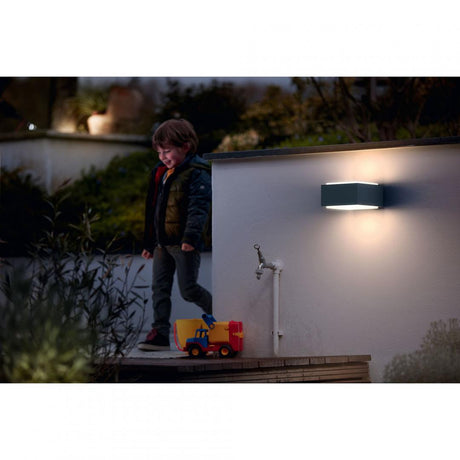 Aplica pentru exterior Philips Hedgehog, 1xE27, max 42W, IP44 ,182x160x91mm, Antracit