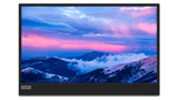 Monitor Consumer Lenovo L15, 15.6", 1920 x 1080 pixeli, Black, Grey, 2 ani Garantie