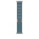 49mm Light Blue Alpine Loop - Small - Natural Titanium Finish