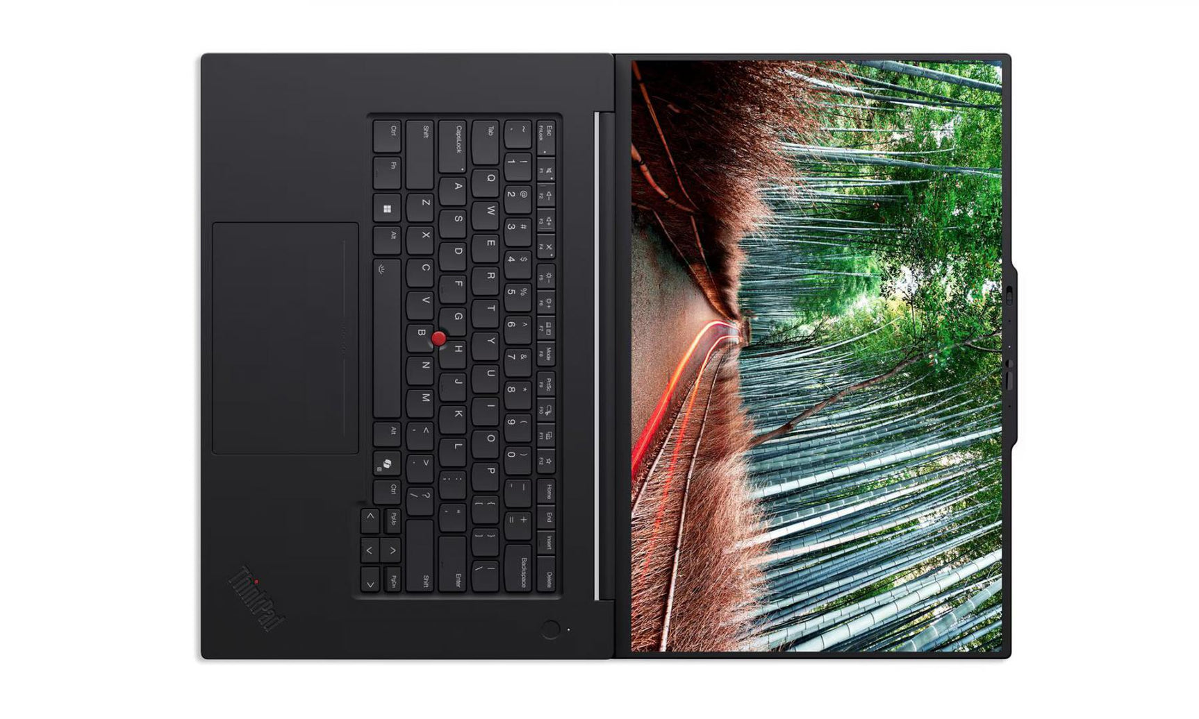 Notebook Workstation Lenovo ThinkPad P1 Gen 8, cu procesor Intel Core Ultra 9 285H, 16'' IPS, 64 GB LPDDR5x, 2 TB SSD, NVIDIA RTX PRO 2000, 8 GB GDDR7, Windows 11 Pro